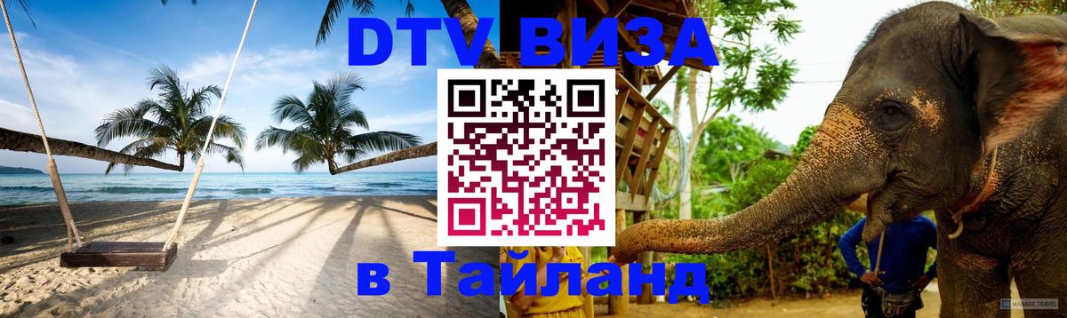 Оформление DTV визы под ключ: стоимость и тарифы, только загранпаспорт - 